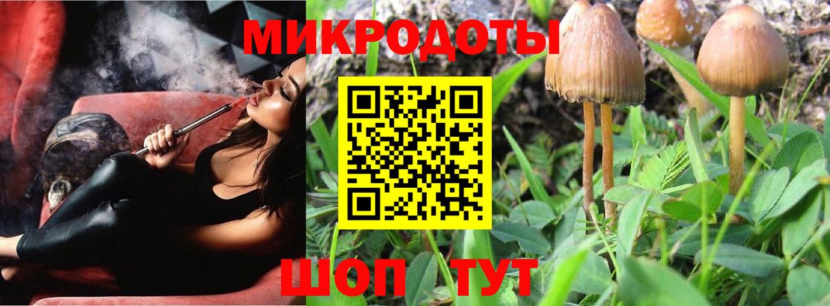 Елизово  Галлюциногенные грибы мухоморы  Вход с VPN 